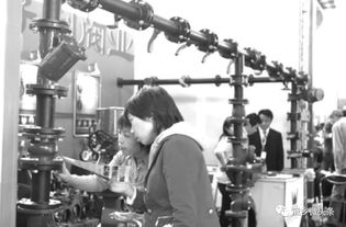 都來看看 龐各莊這些年的產業(yè)提升有多強