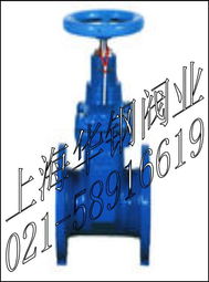 fdz45x 16加密防盜軟密封閘閥