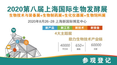 10套化工流程圖、布置圖及設備圖在互聯網接入及相關服務領域的應用與價值